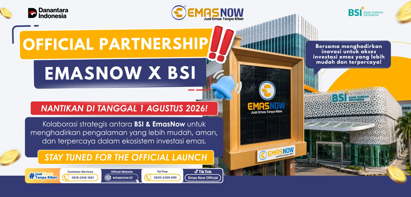 bsi emasnow